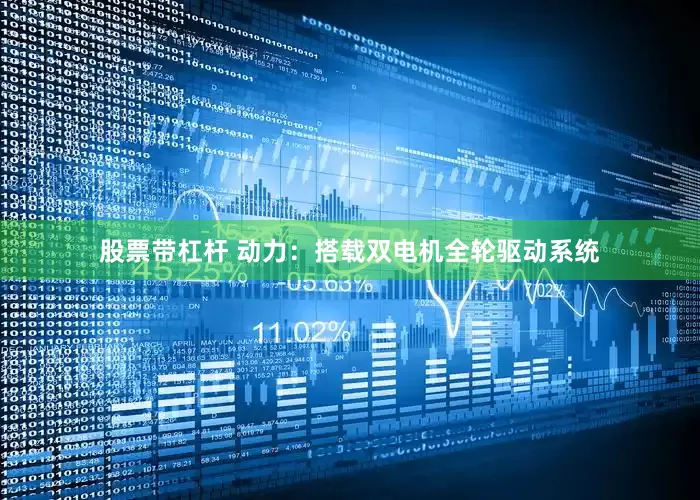 股票带杠杆 动力：搭载双电机全轮驱动系统