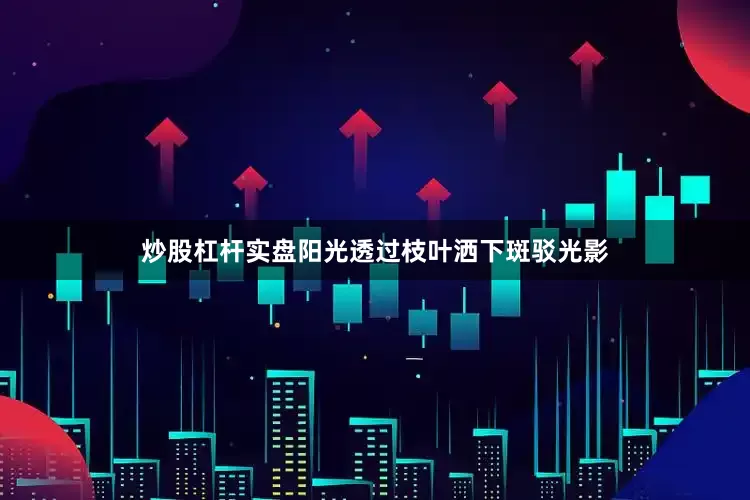 炒股杠杆实盘阳光透过枝叶洒下斑驳光影